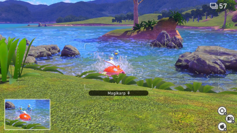 Magikarp!
