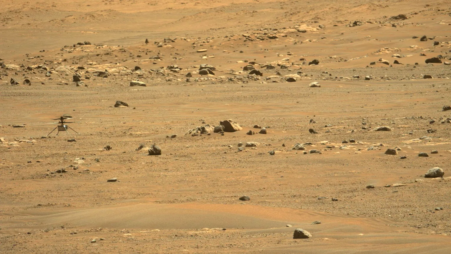 mars powierzchnia perseverance