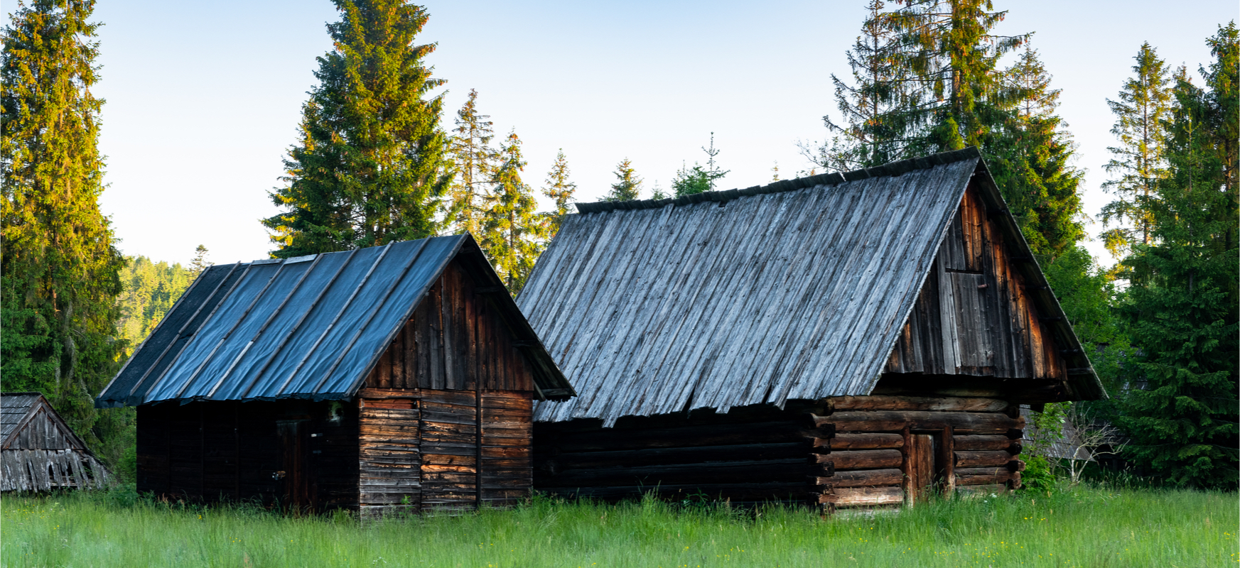 patodeweloperka