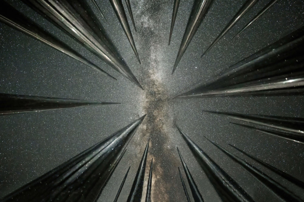Fot. Wang Zheng, „Star Fall&quot;. class="wp-image-1791484" 
