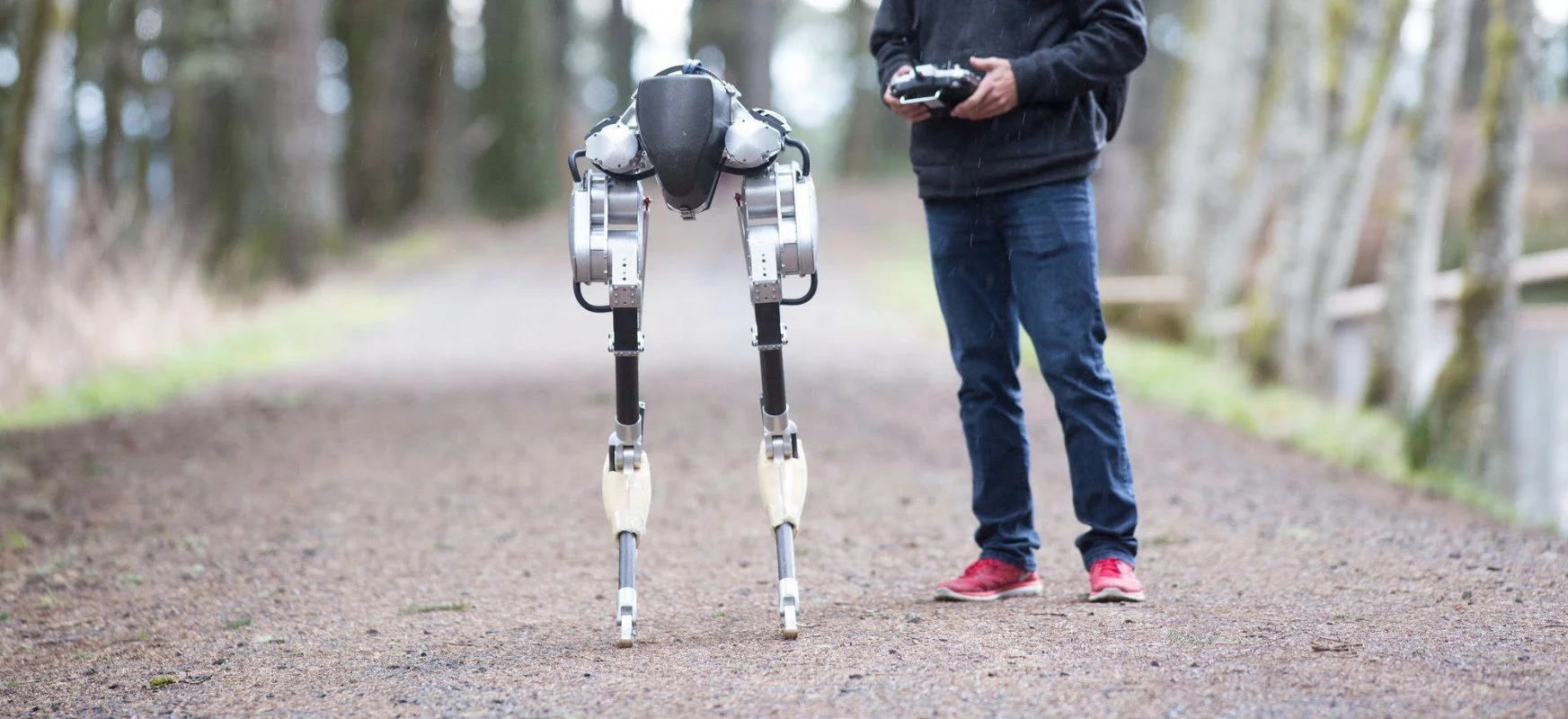 Robot-pies to już przeżytek. Cassie to biegacz, który pokonuje 5 km na jednym ładowaniu