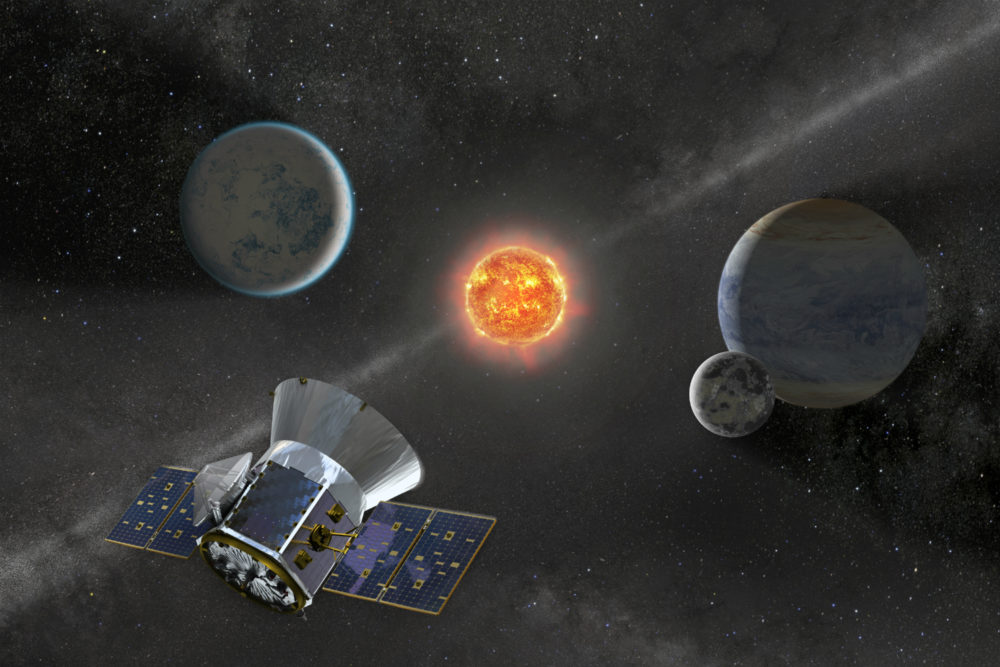 tess class="wp-image-1790590"