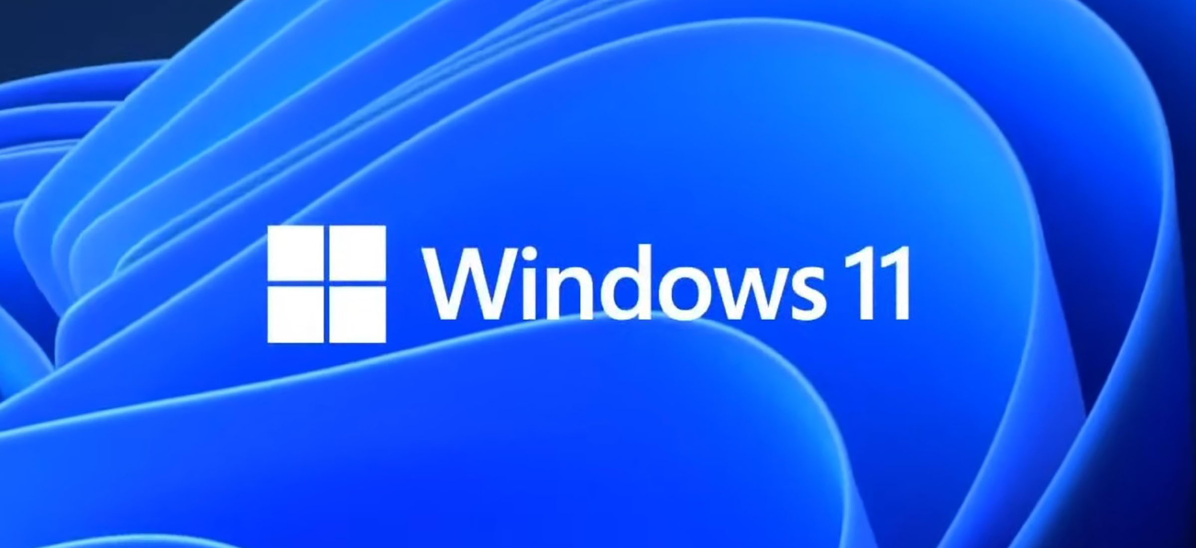 windows 11 wirusy