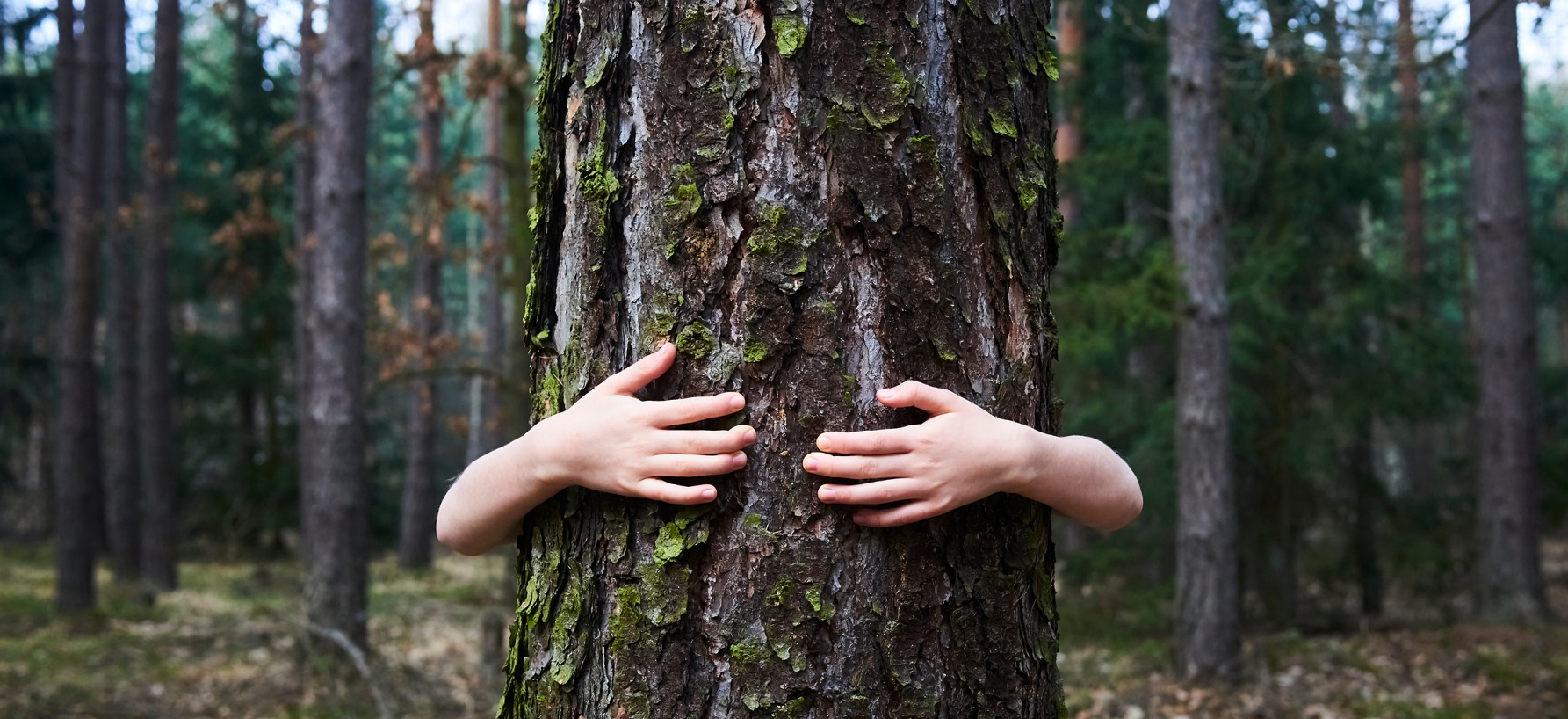 Jak radzić sobie z trwającą katastrofą klimatyczną?