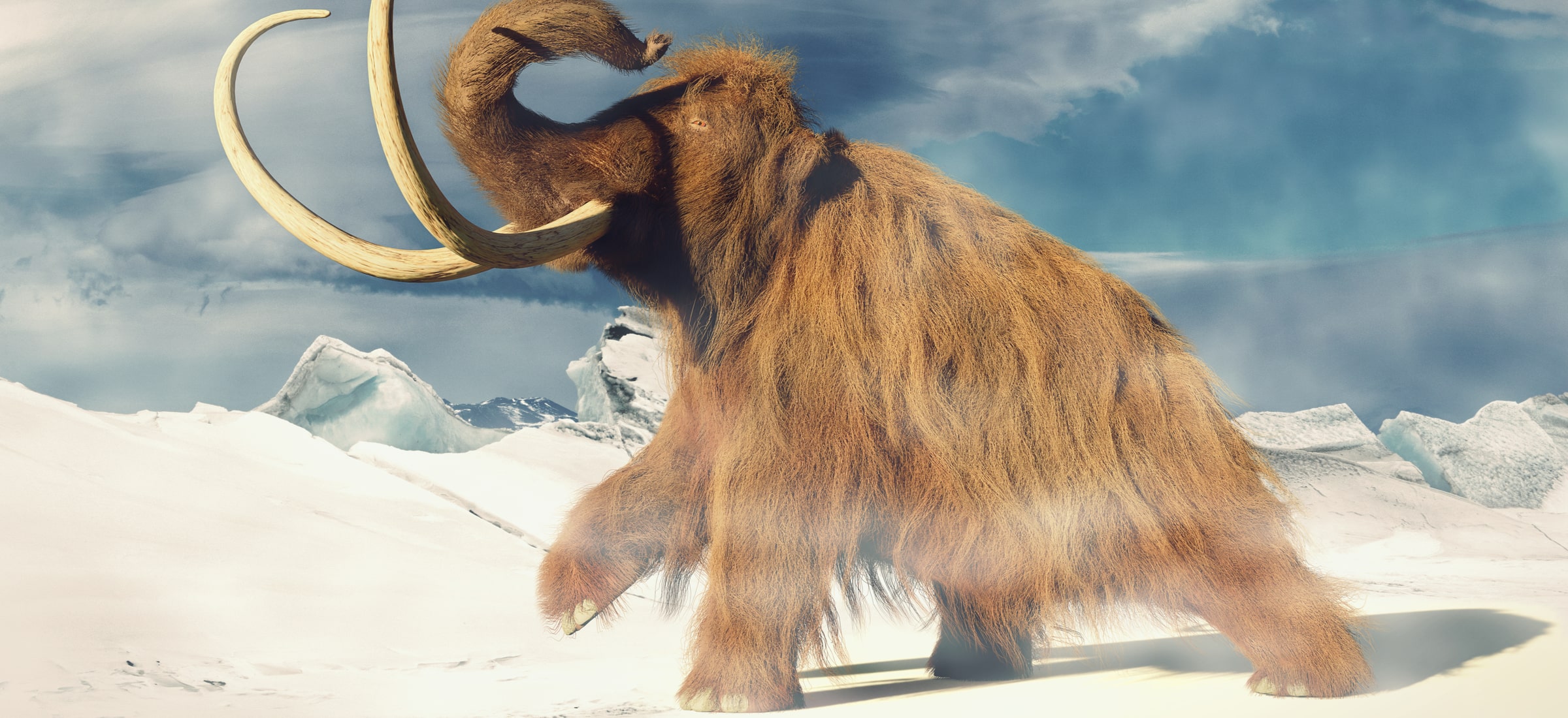 mamut wlochaty