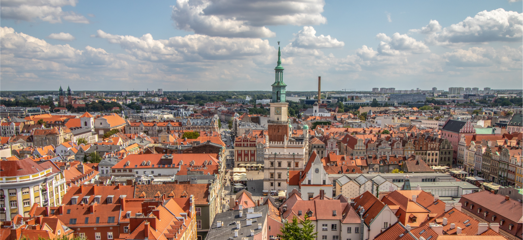 W Poznaniu znaleźli sposób na zieleń w miastach
