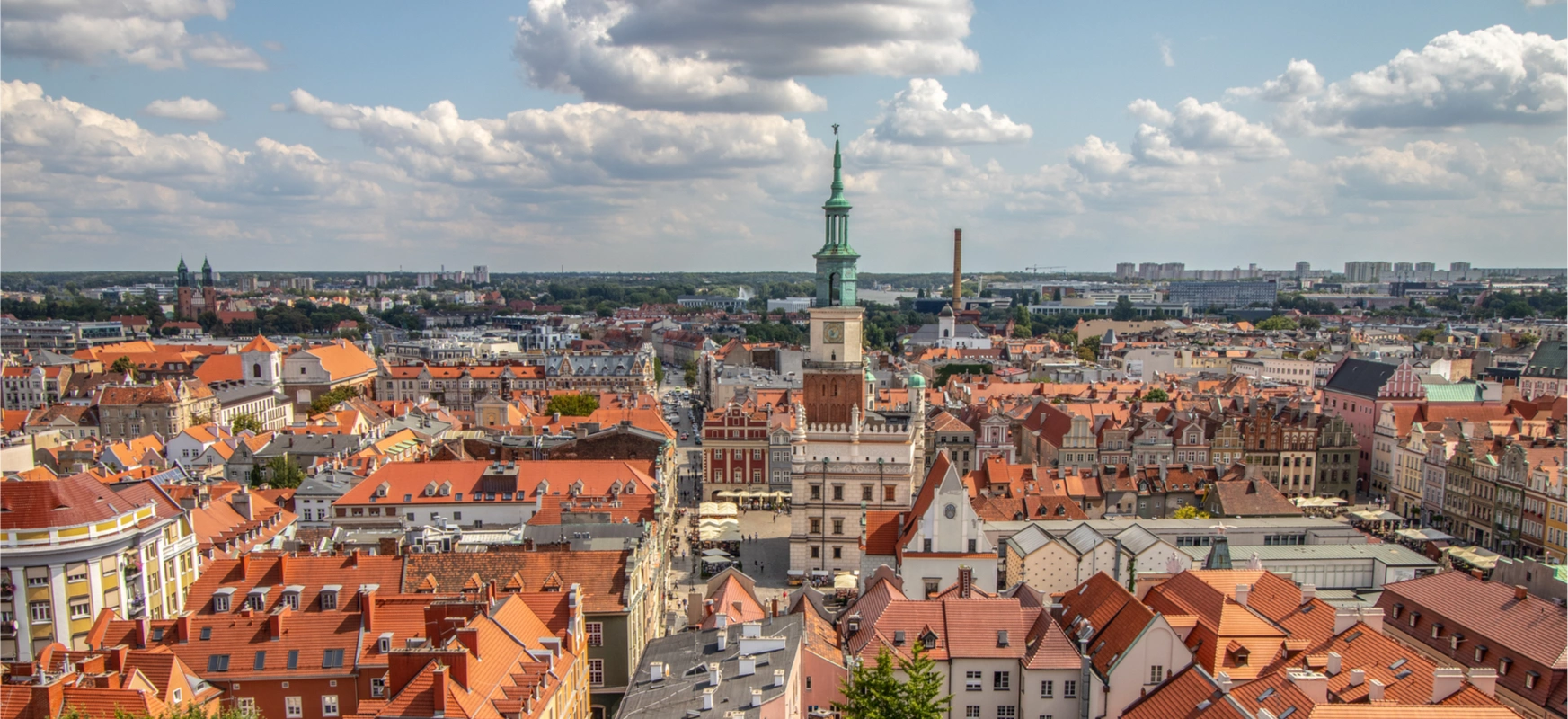 W Poznaniu znaleźli sposób na zieleń w miastach