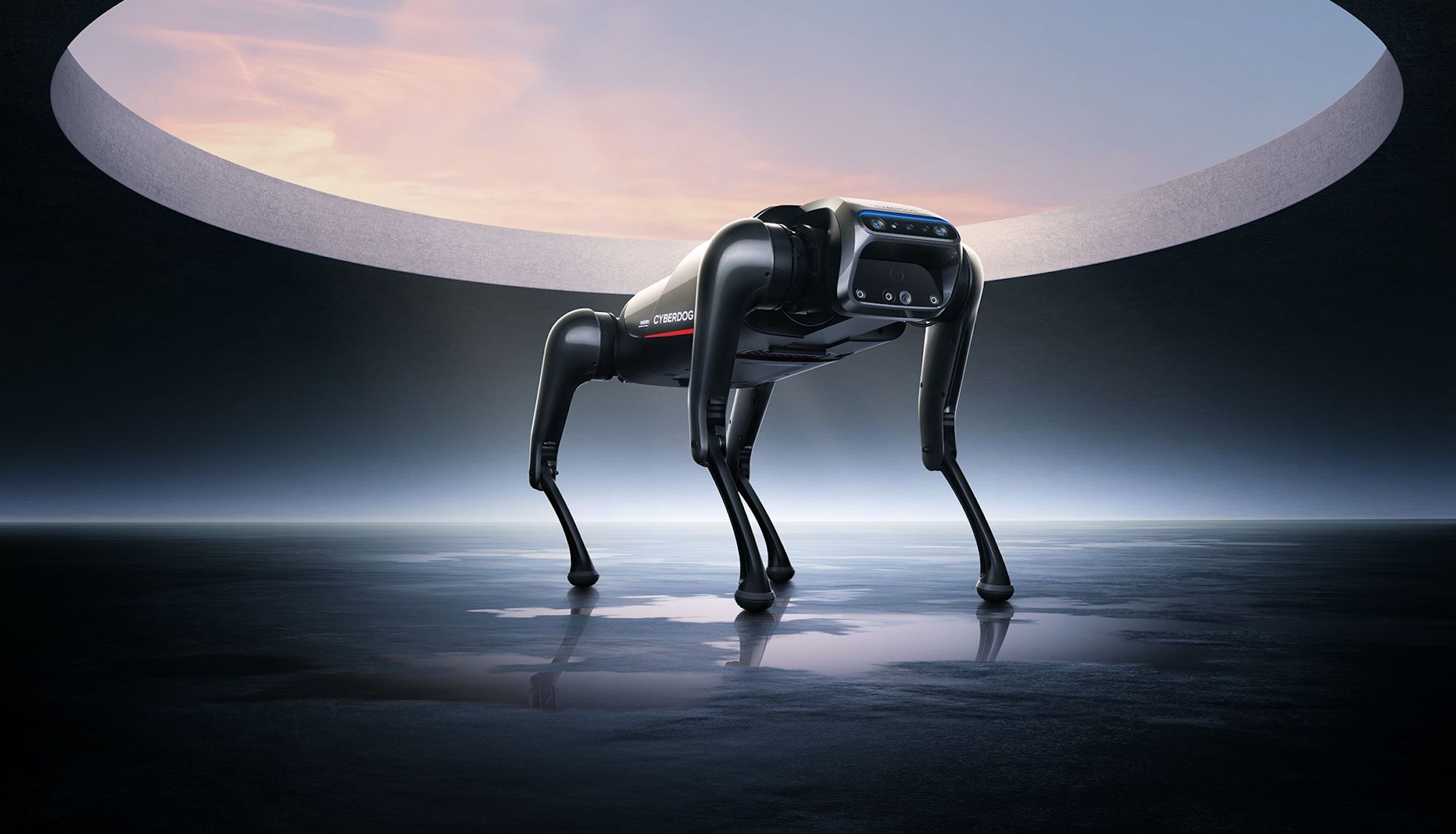 xiaomi robot pies cyberdog cena black mirror