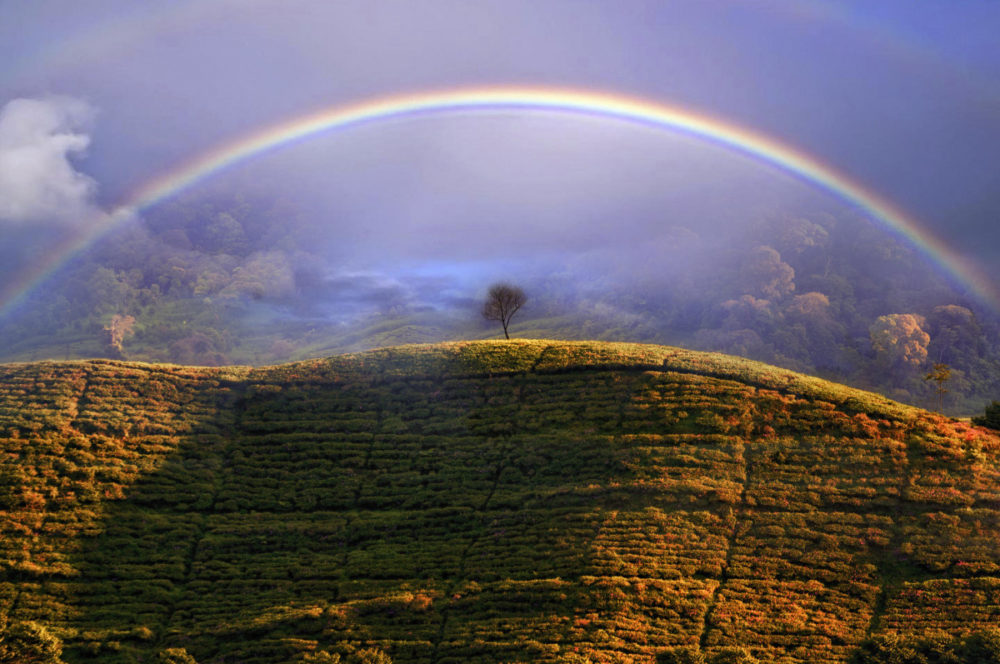 Fot. Dani Agus Purnomo, "Misty Rainbow" class="wp-image-1842385"