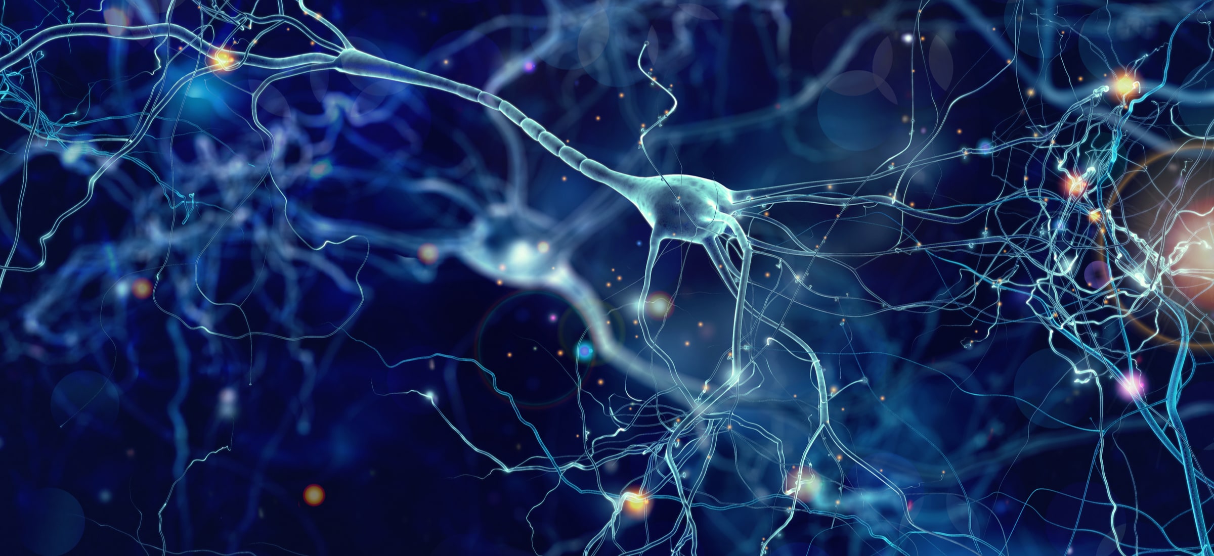 neurony mozg