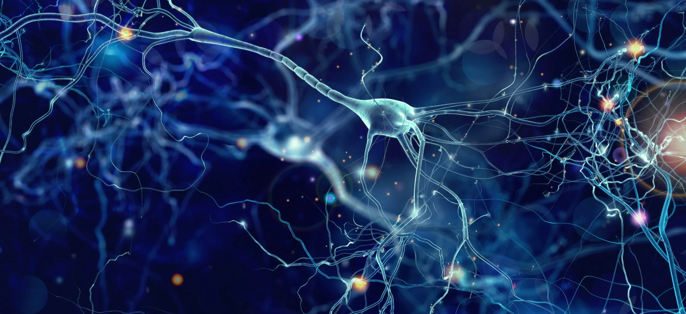 neurony mozg