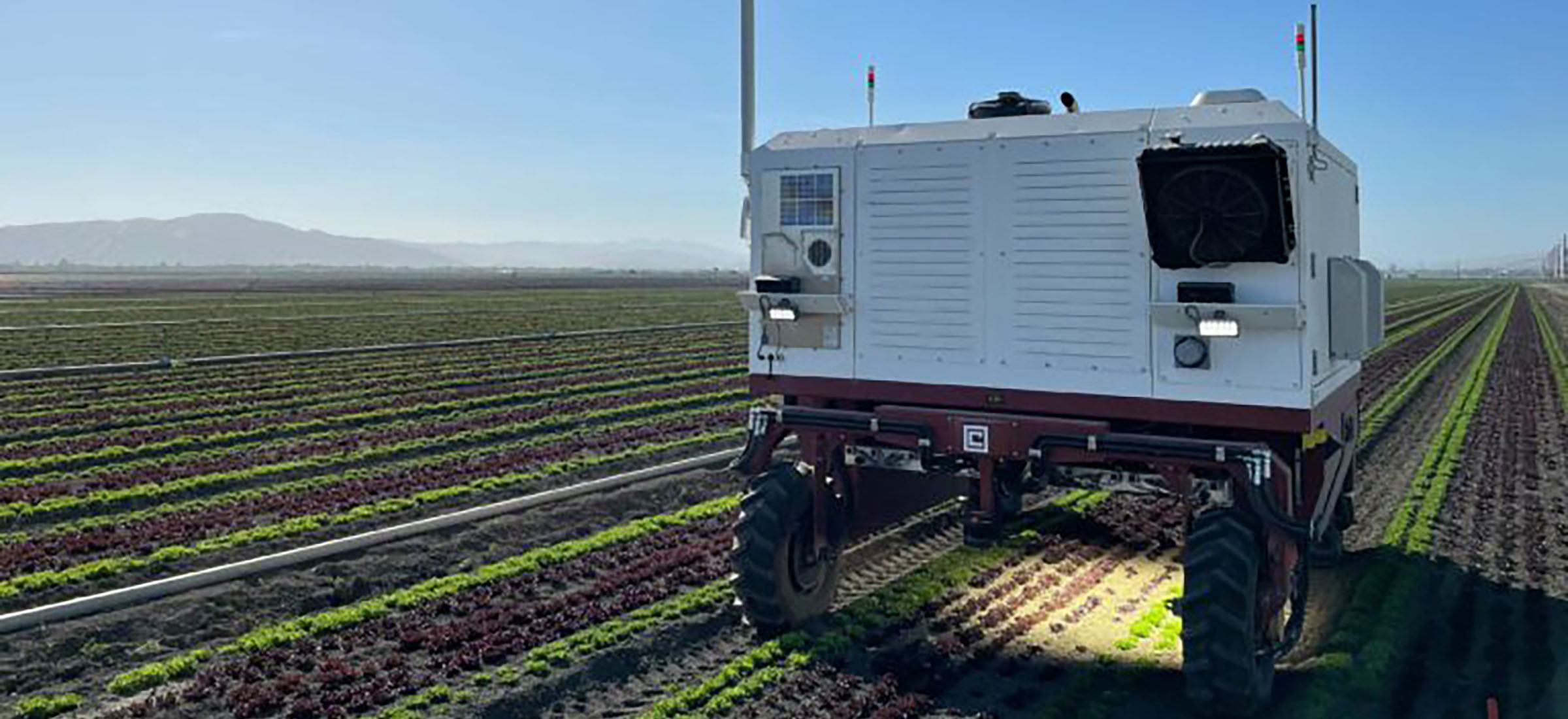 robot chwasty laser si