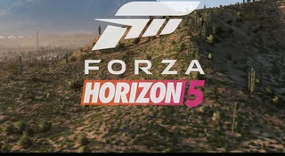 forza horizon 5 język migowy