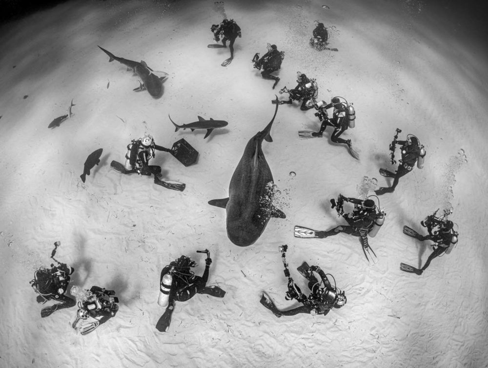 1. miejsce, kat. People and Nature, fot. Magnus Lundgren | GDT Wildlife Photographer of the Year 2021 class="wp-image-1918316"