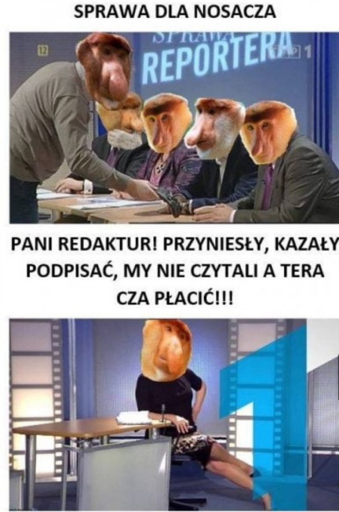 class="wp-image-1987415"