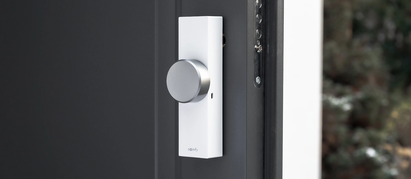 Somfy Door Keeper. Tak działa zdalnie sterowany zamek - test