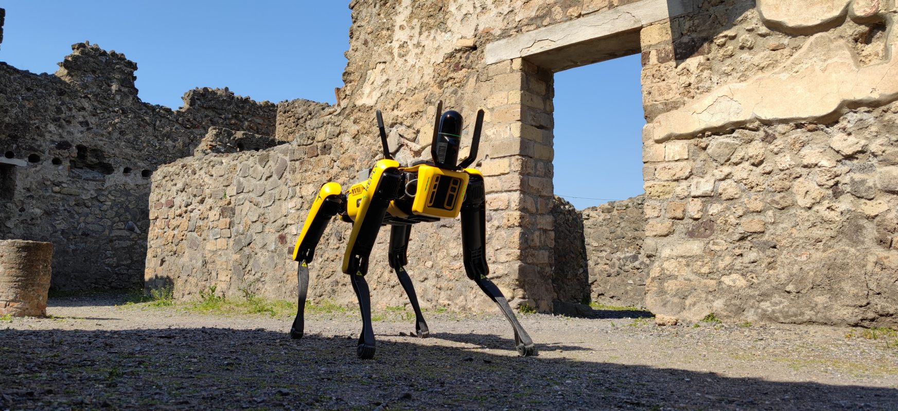 Robo-pies patroluje antyczne ruiny