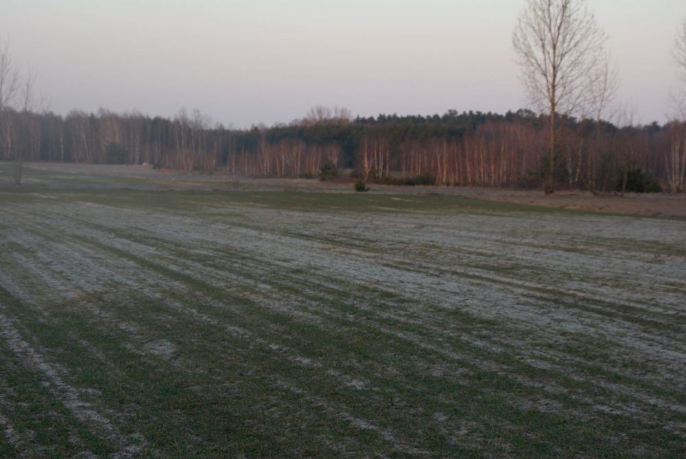  class="wp-image-2100312" 