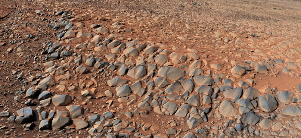 curiosity greenheugh pediment class="wp-image-2129031"