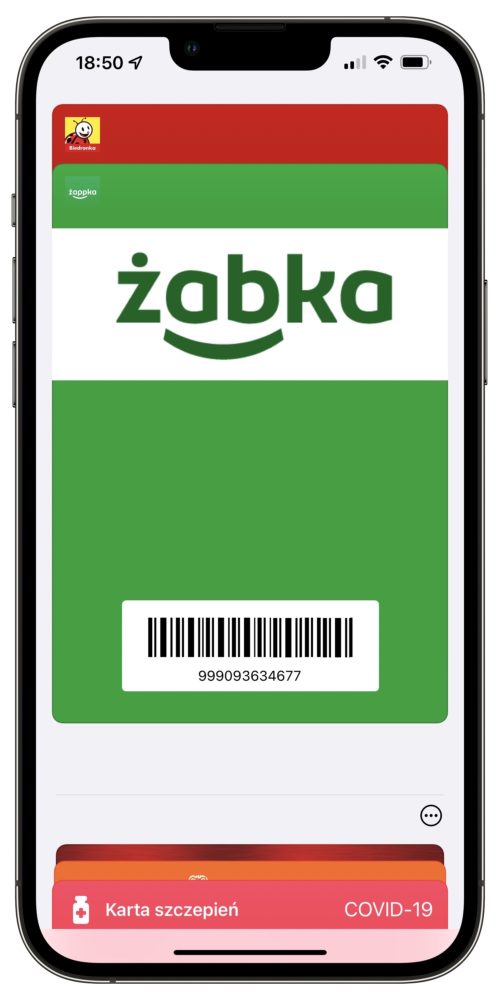 apple-portfel-iphone-wallet-aplikacja-karty-lojalnosciowe-bilety-jak-wgrac class="wp-image-2199234"