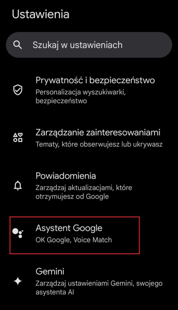 Przejdź do zakładki "Asystent Google"