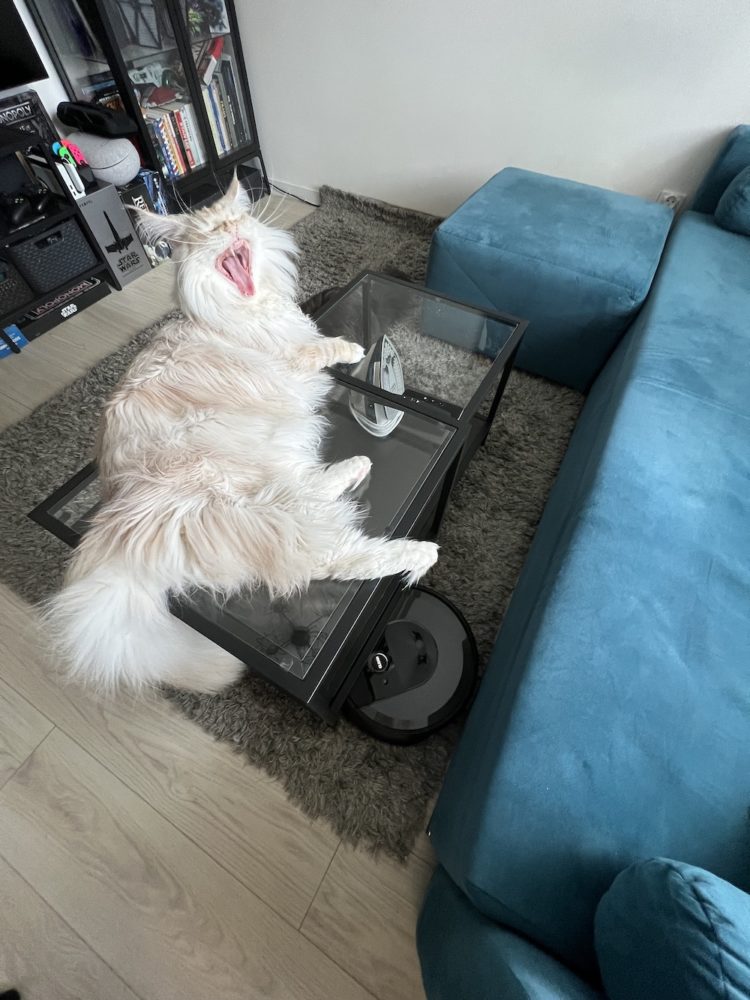 roomba i7+ kontra roomba e5 class="wp-image-2219961"