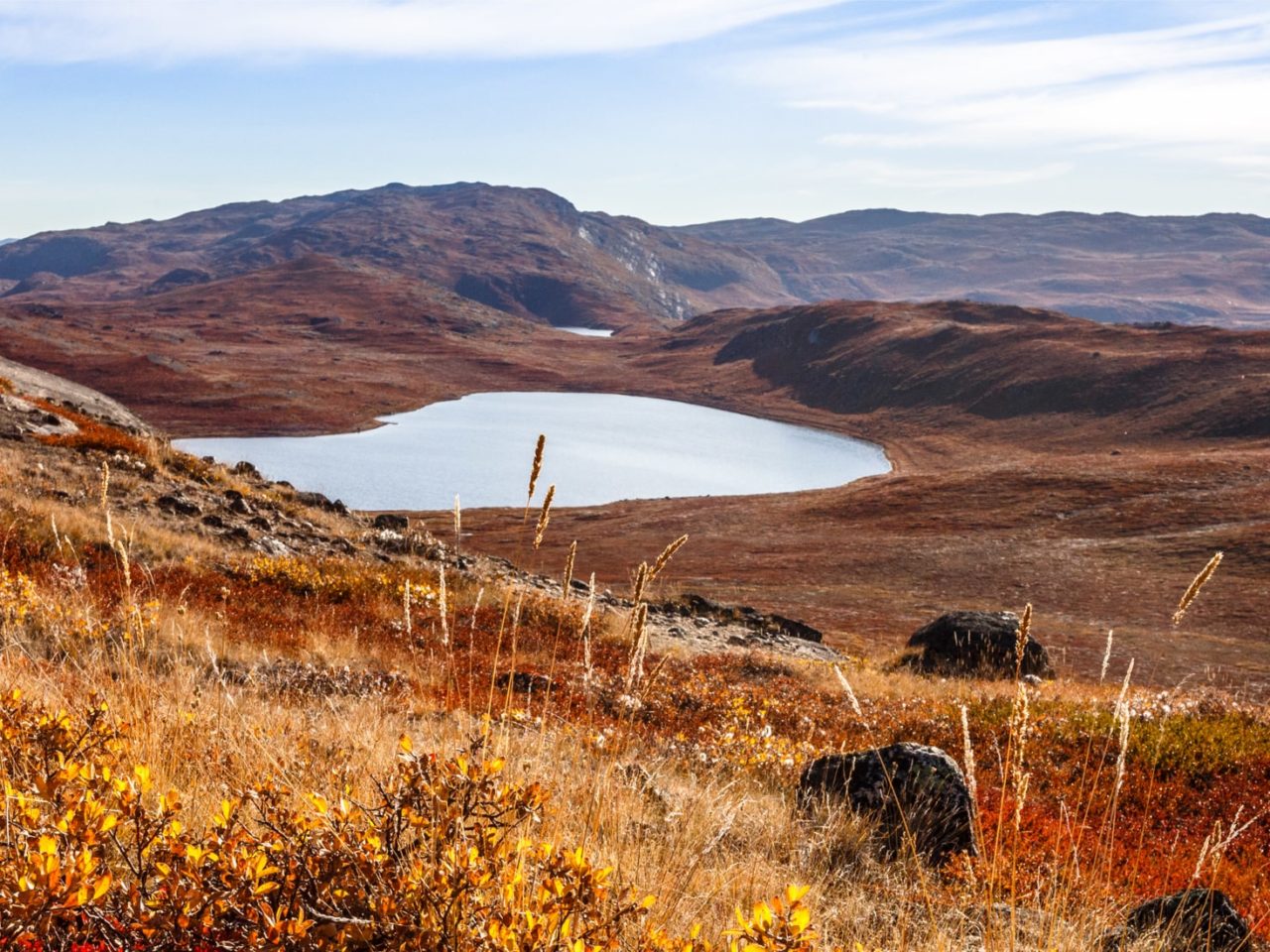 Tundra nie przeżyje zmian klimatu. Za 500 lat będzie już historią