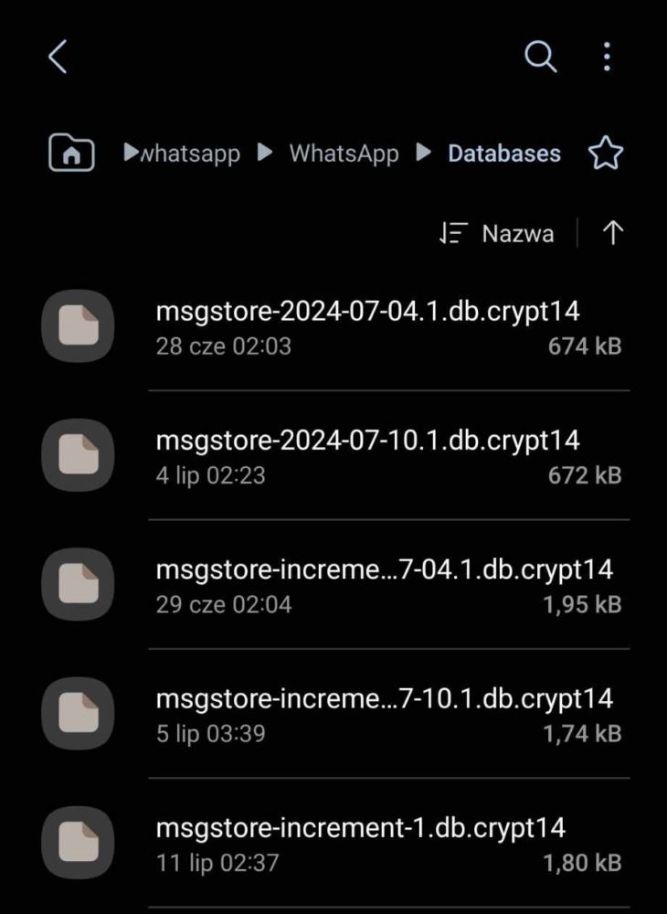 WhatsApp - pliki lokalnej bazy danych