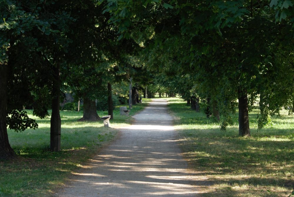 class="wp-image-2273061"