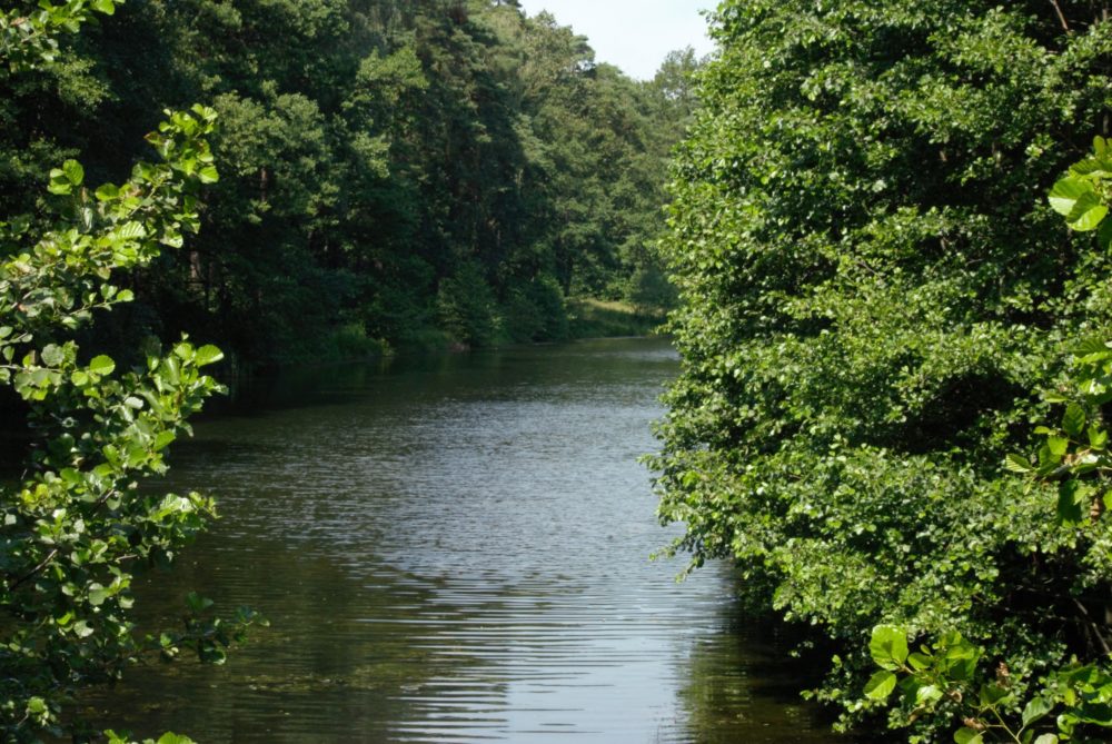 class="wp-image-2262540"