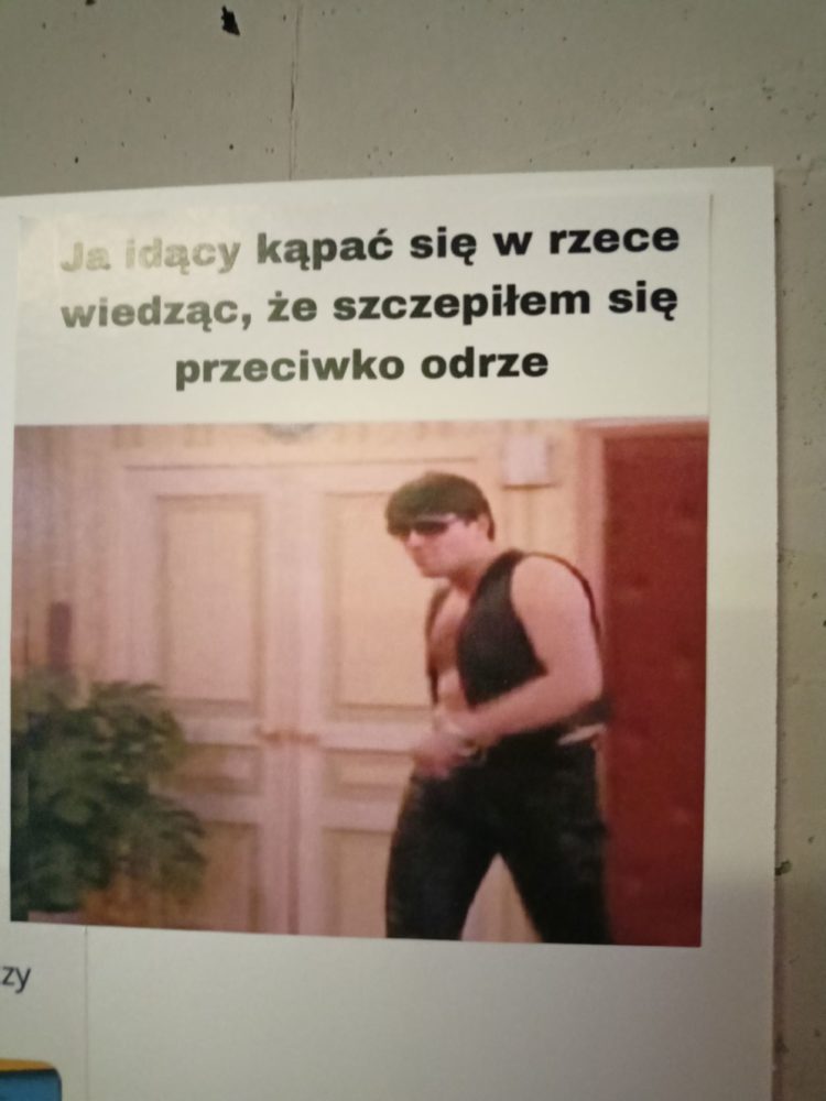 class="wp-image-2355258"