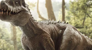 Masowe wymierania i ewolucja dinozaurów