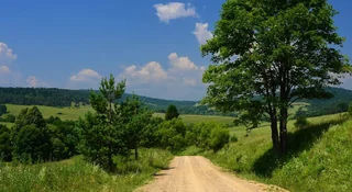 Beskid Niski. Lasy Państwowe chcą zalać unikalną drogę asfaltem