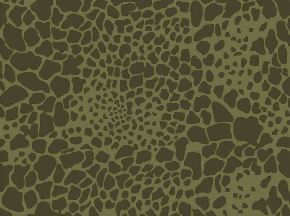 class="wp-image-2559681"
