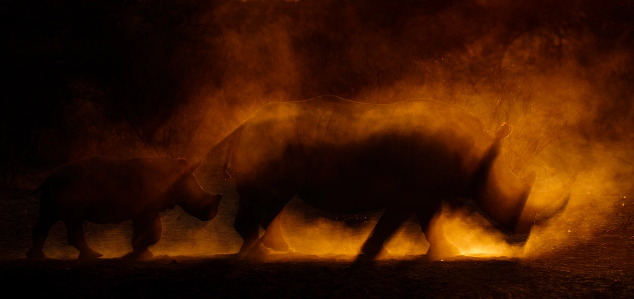 Wicemistrzostwo w kategorii „Ssaki". fot. James Gifford/NPOTY 2022. class="wp-image-3066489"