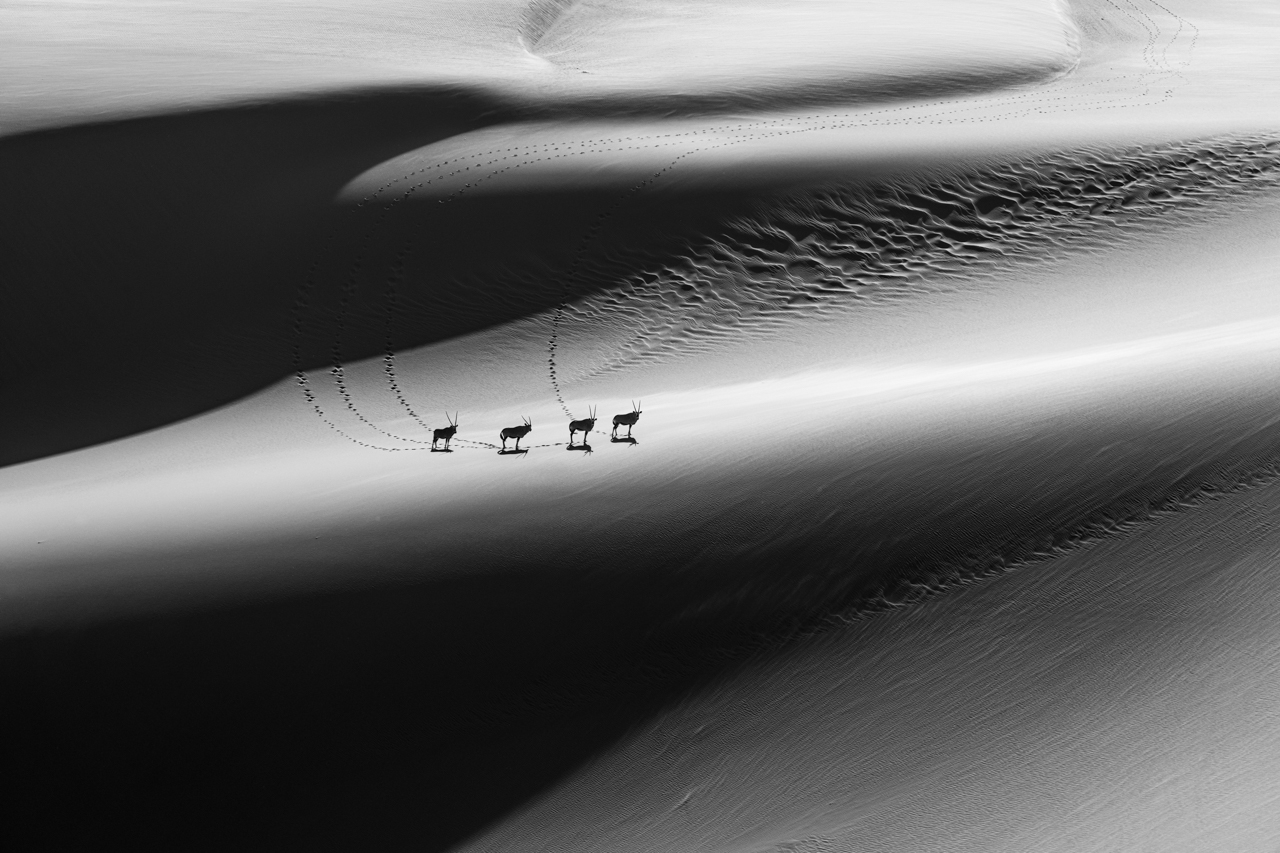 Wicemistrzostwo w kategorii „Zdjęcia czarno-białe", fot. Craig Elson/NPOTY 2022 class="wp-image-3066501"