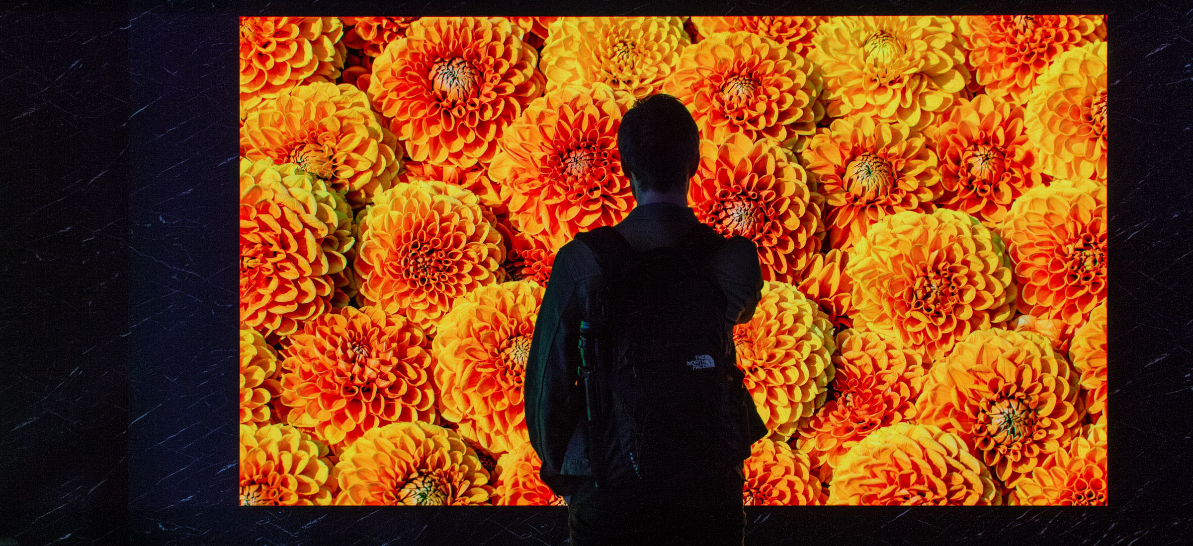 Samsung Micro LED CX