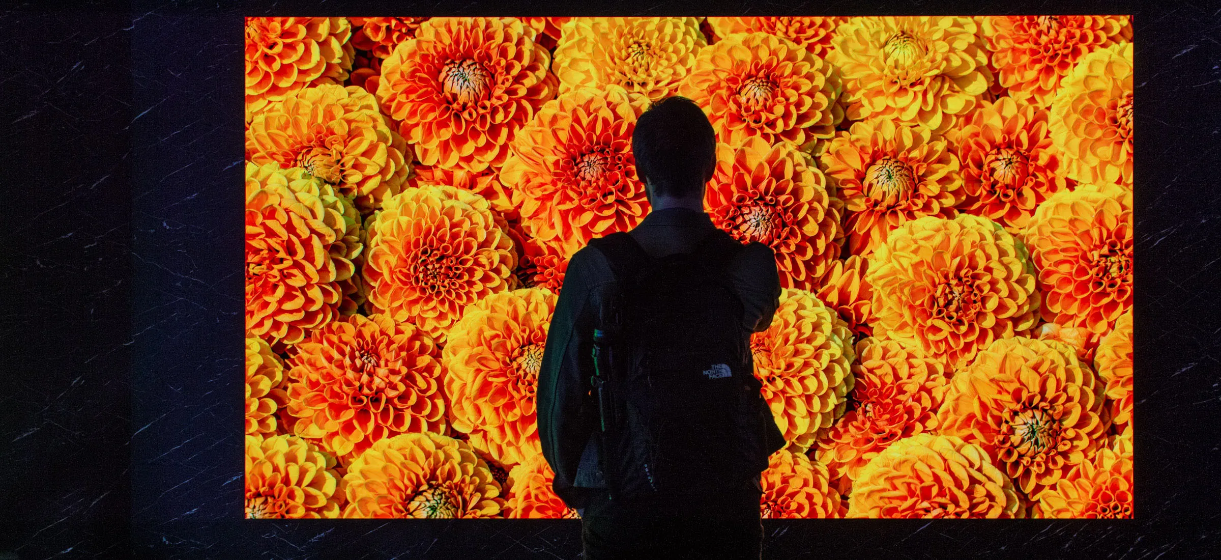 Samsung Micro LED CX