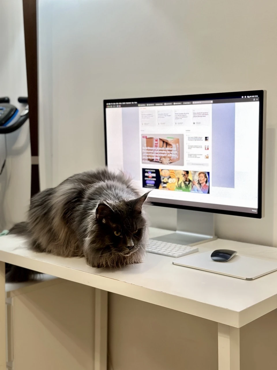 apple-studio-display-opinie-monitor-mac-kot