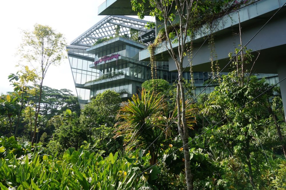 biuro-singapur