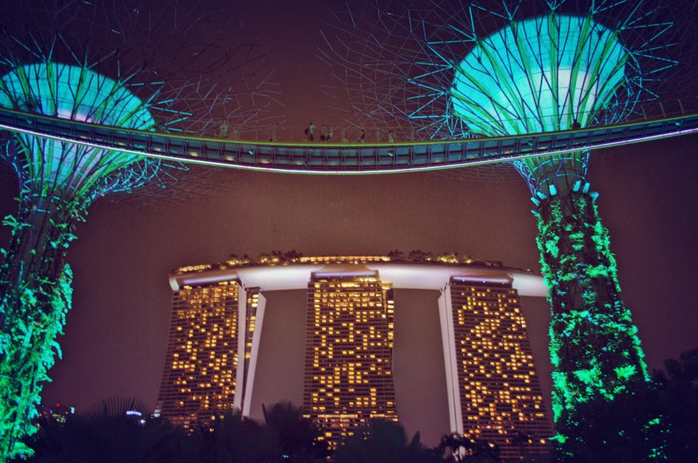 singapur-ogrody