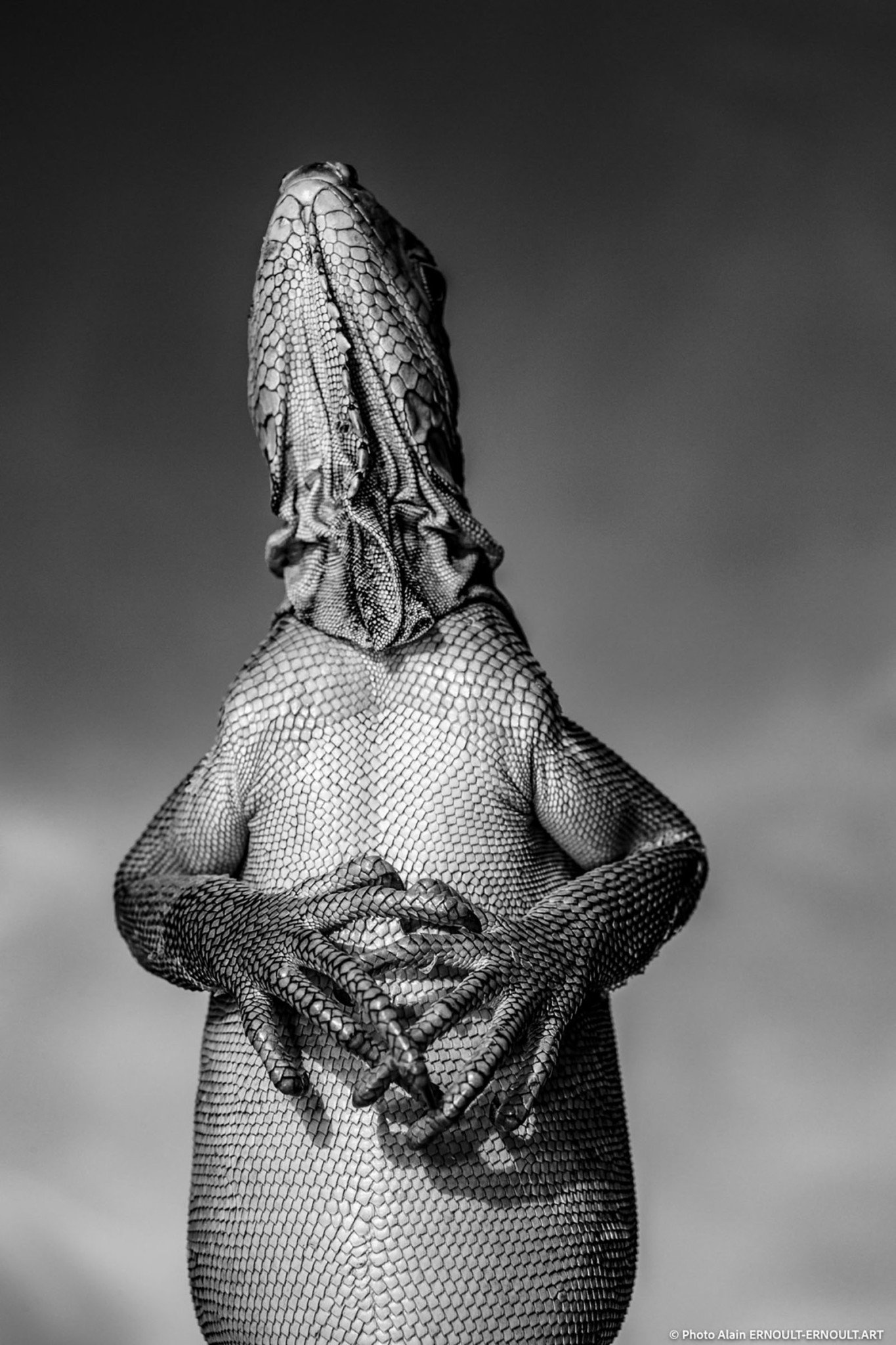 World Nature Photography Awards 2022 © Ernoult Alain