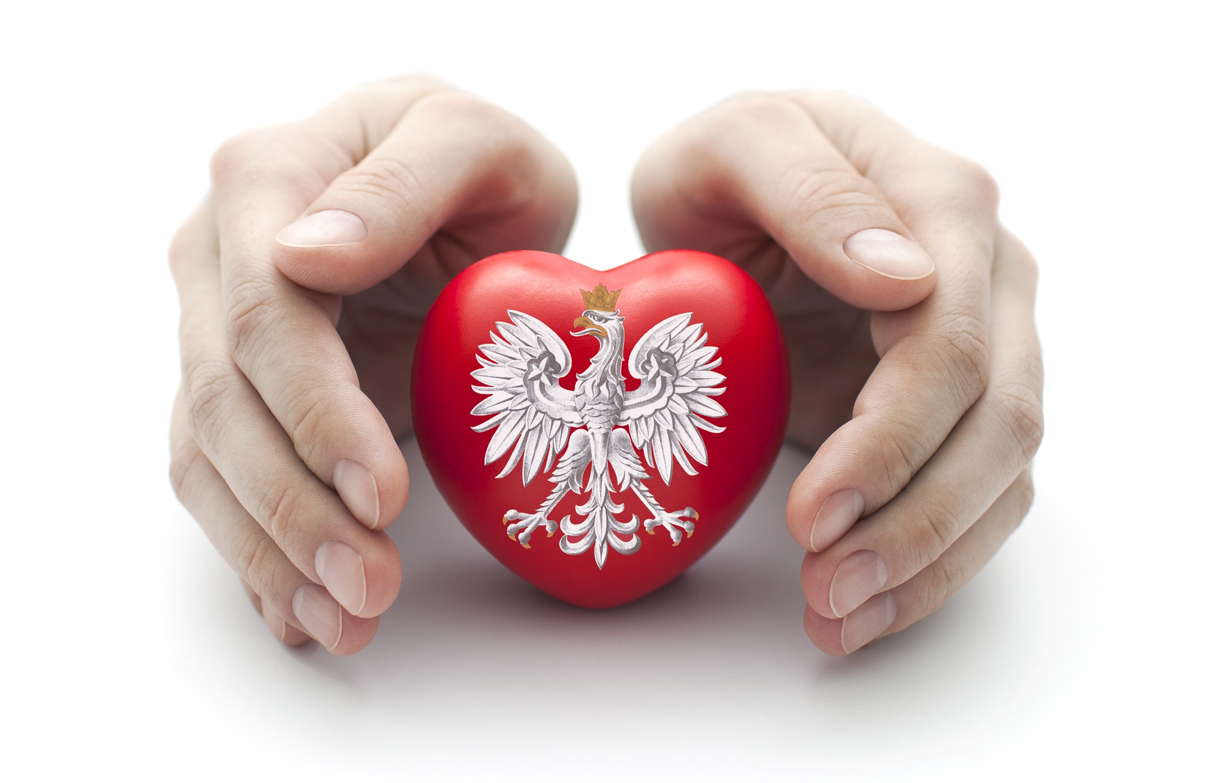 orzeł