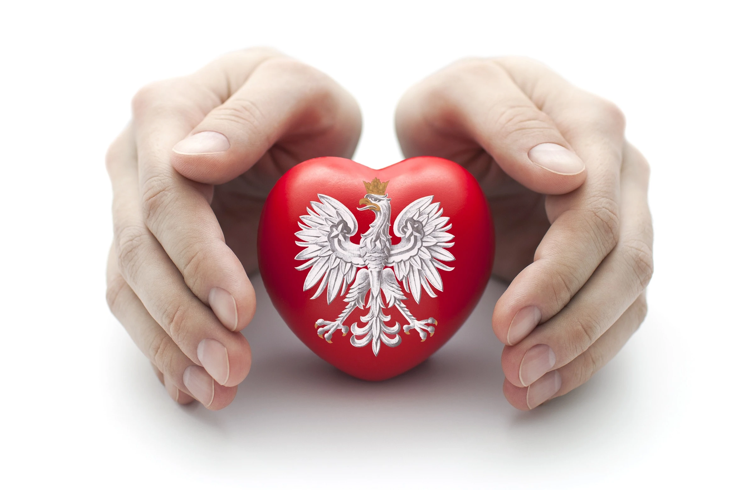 orzeł