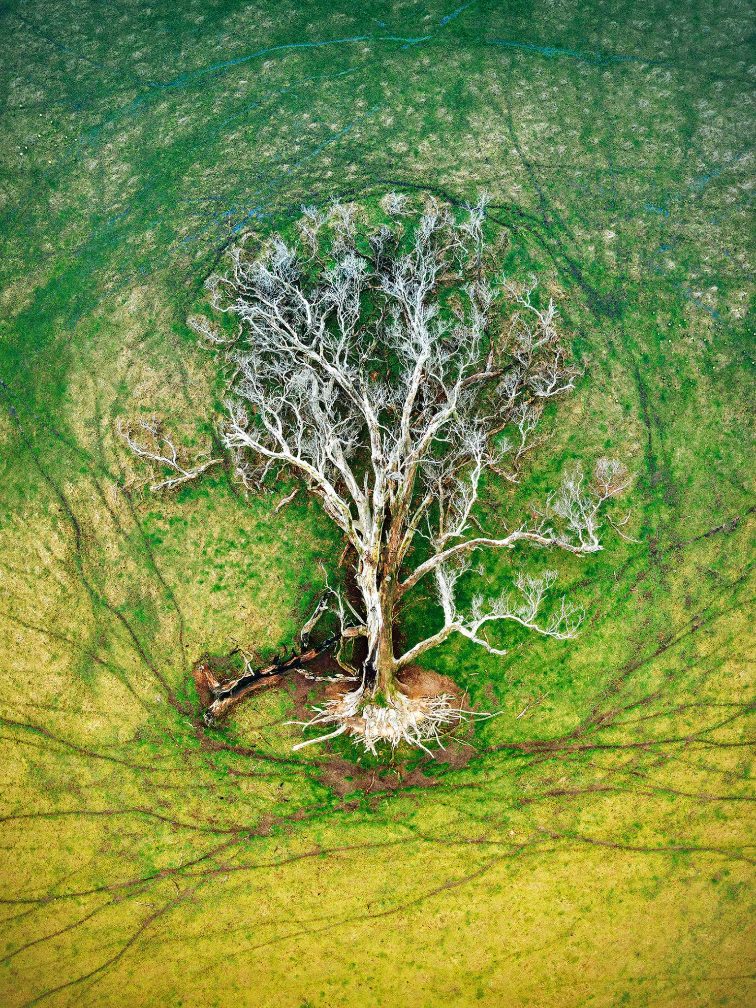 World Nature Photography Awards 2022 © Julie Kenny