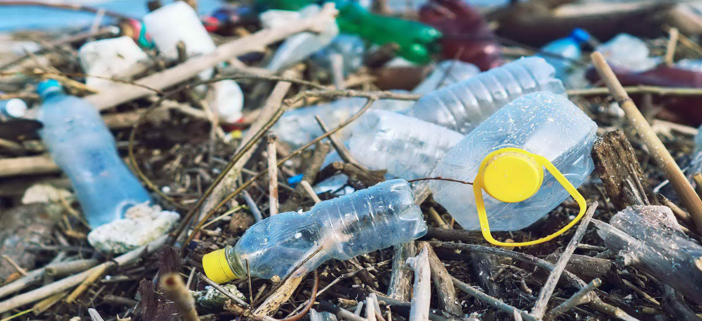 U wybrzeży Brazylii właśnie odkryto plastikowe skały. Nie, to nie żart