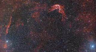 sn185