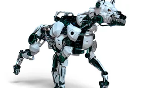 Robo-pies