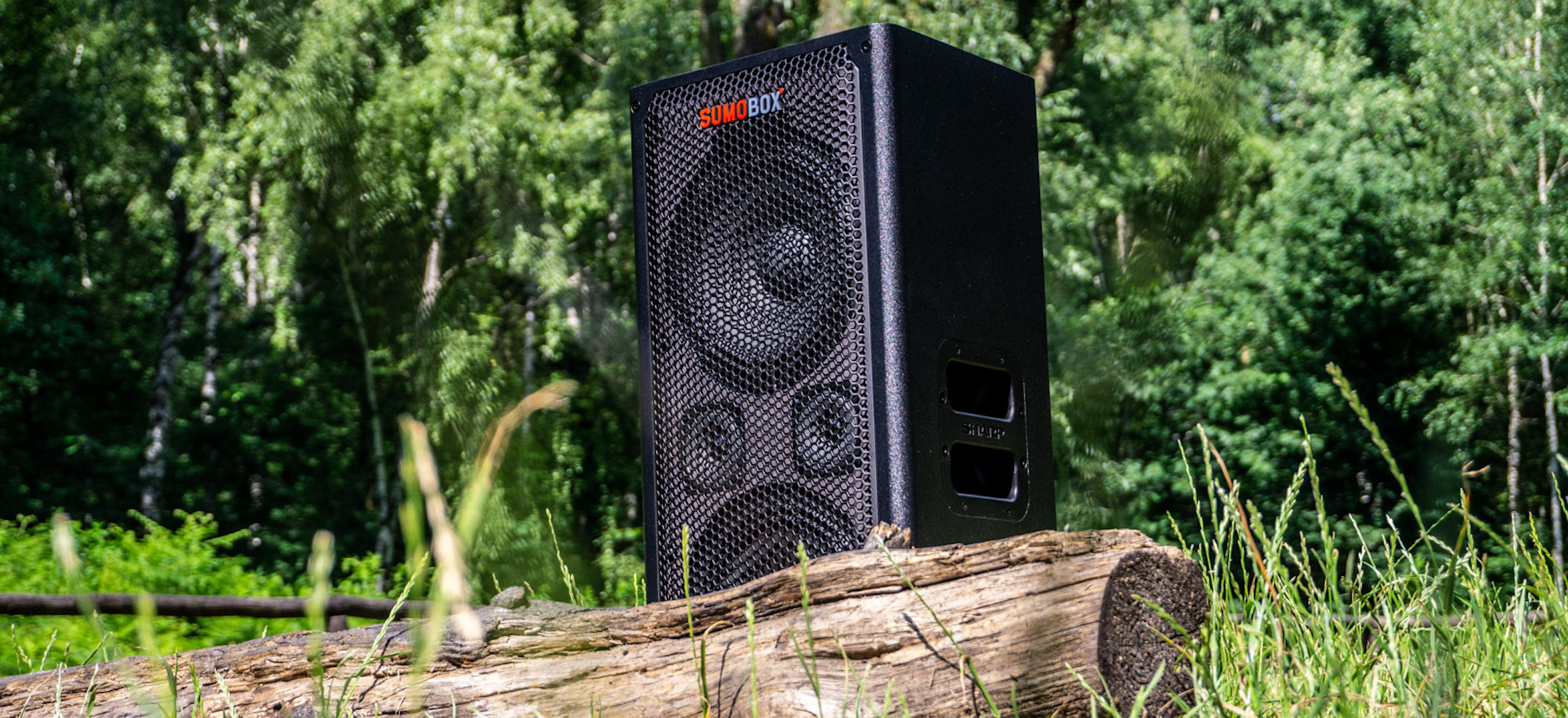 Sharp SumoBox CP-LS100