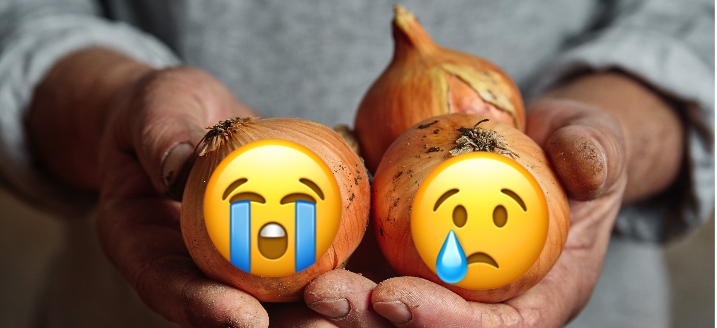 W 2023 roku umarło „za darmo” w internecie, a nawet nie zauważyliście. Połączyłem za was kropki